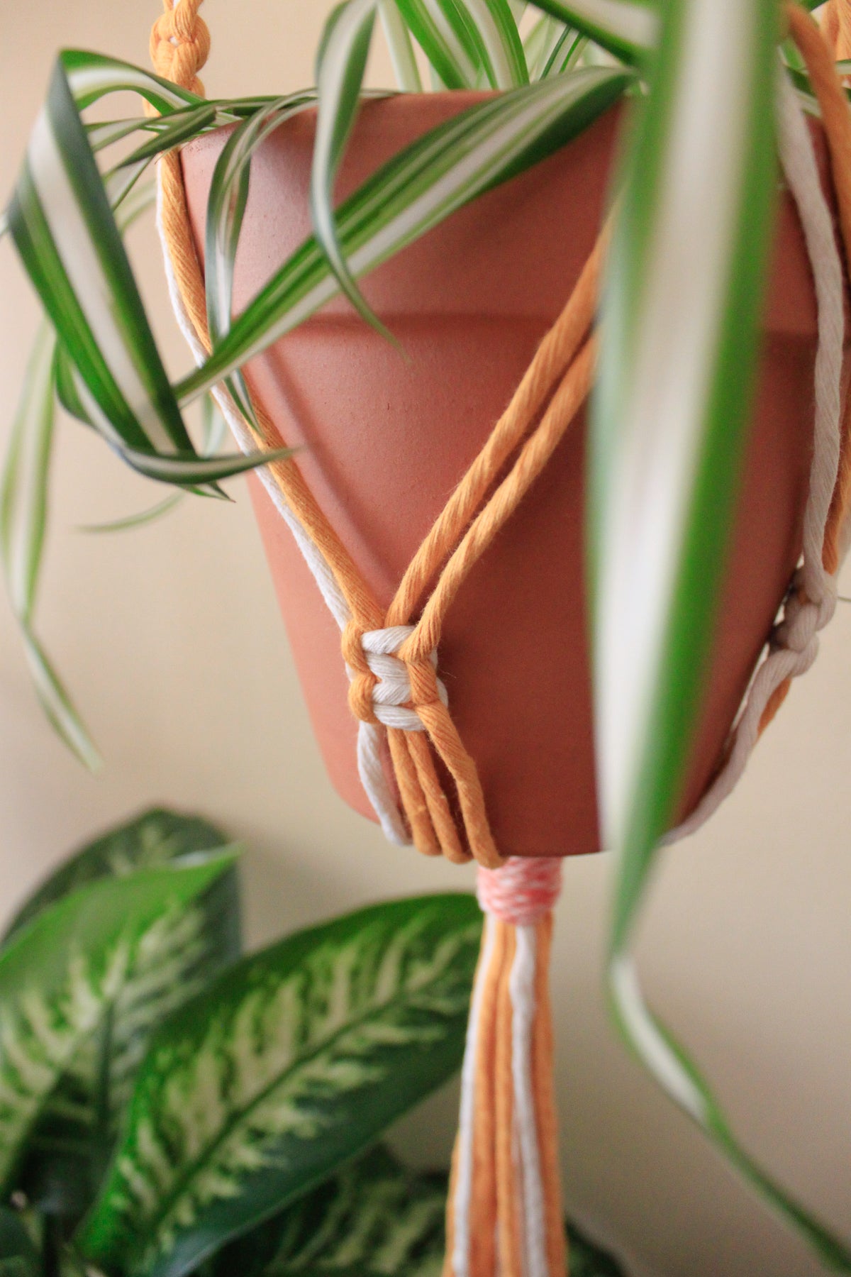 Hello Yellow Plant Hanger