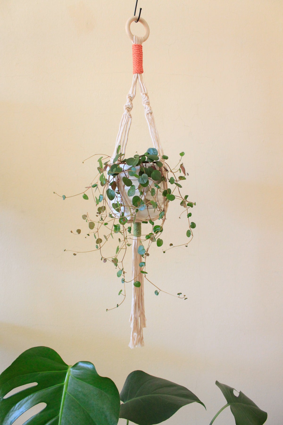 Sunset + Avocado Mini Plant Hanger