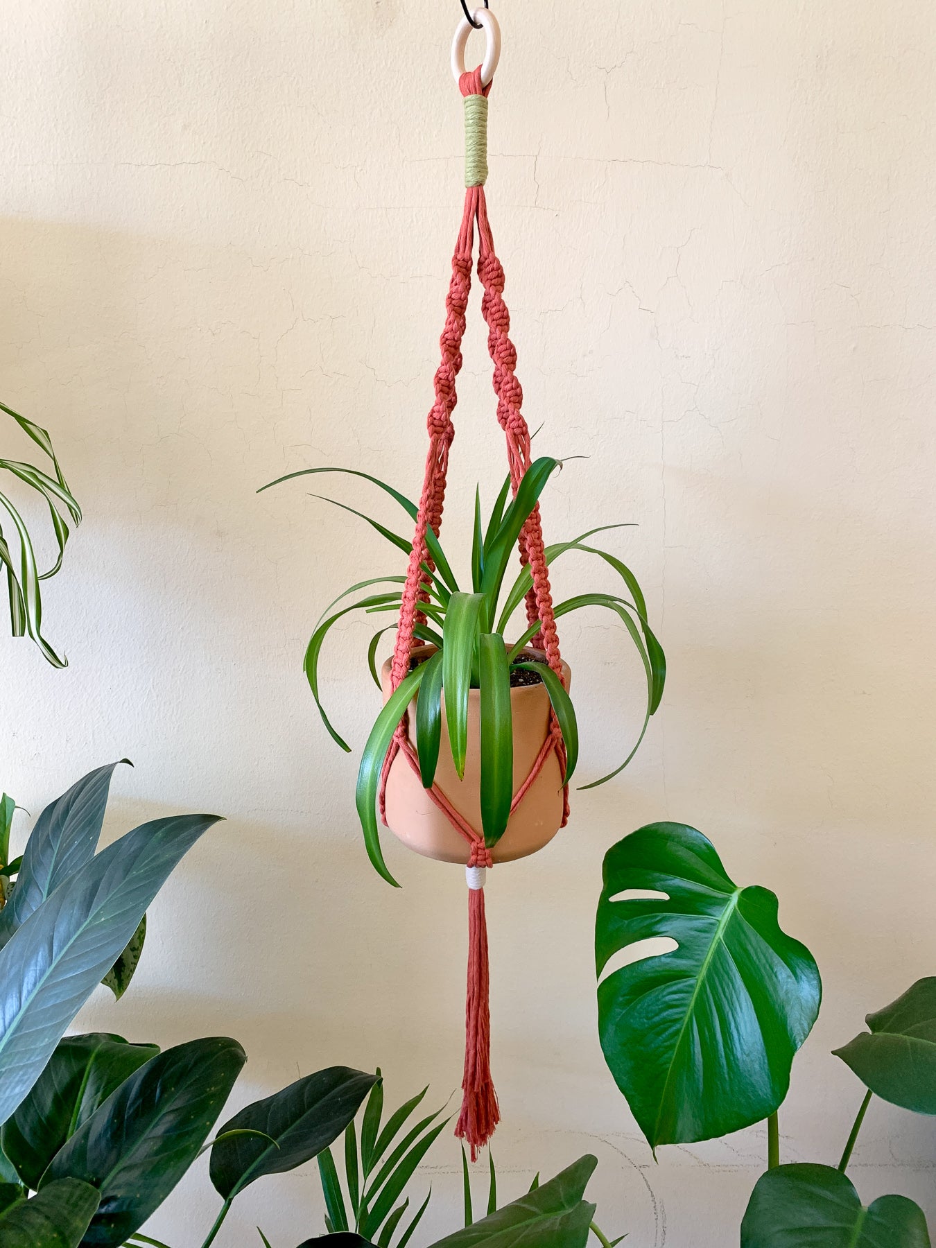 Terracotta Plant Hanger