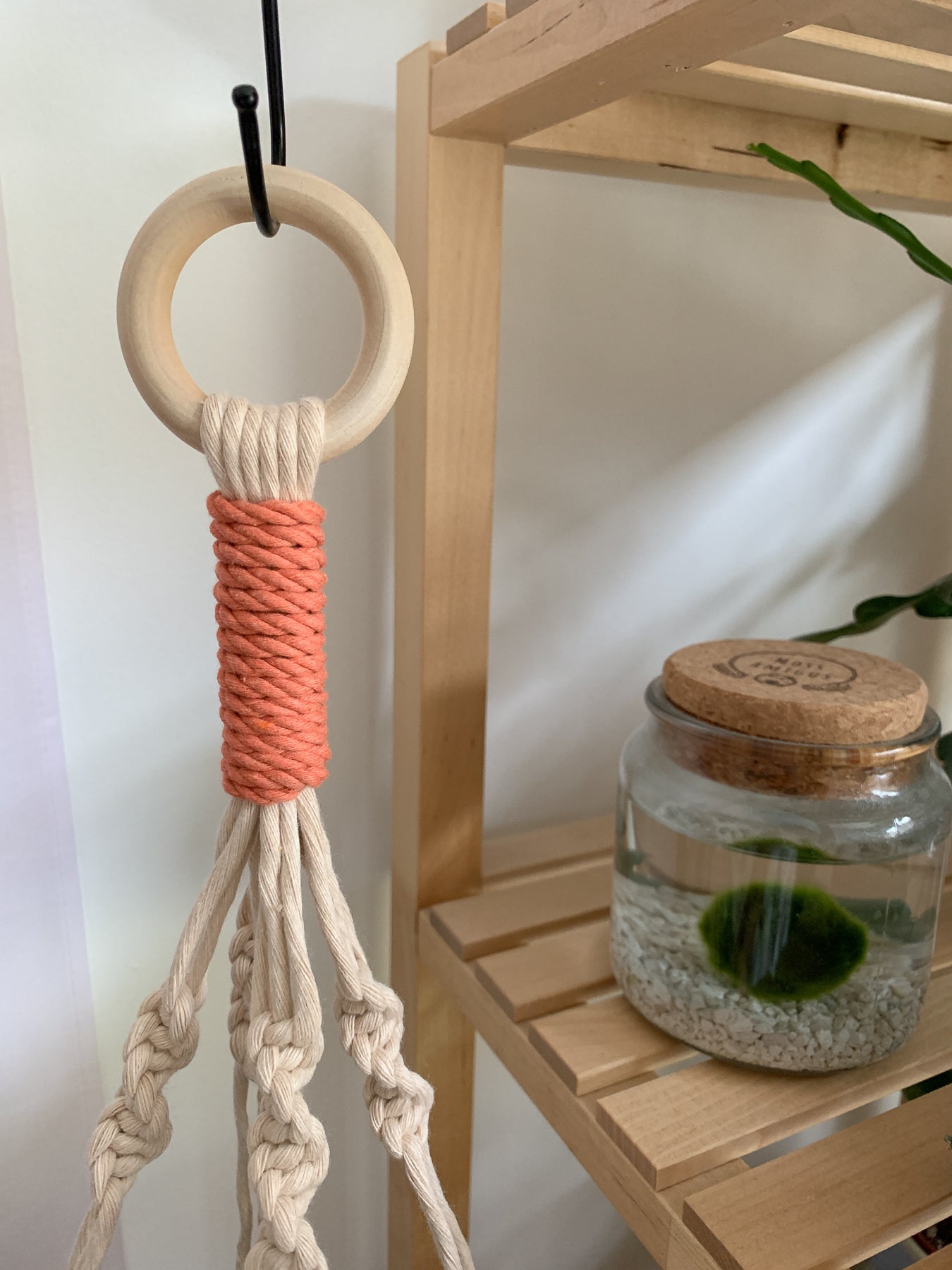 Sunset + Avocado Mini Plant Hanger
