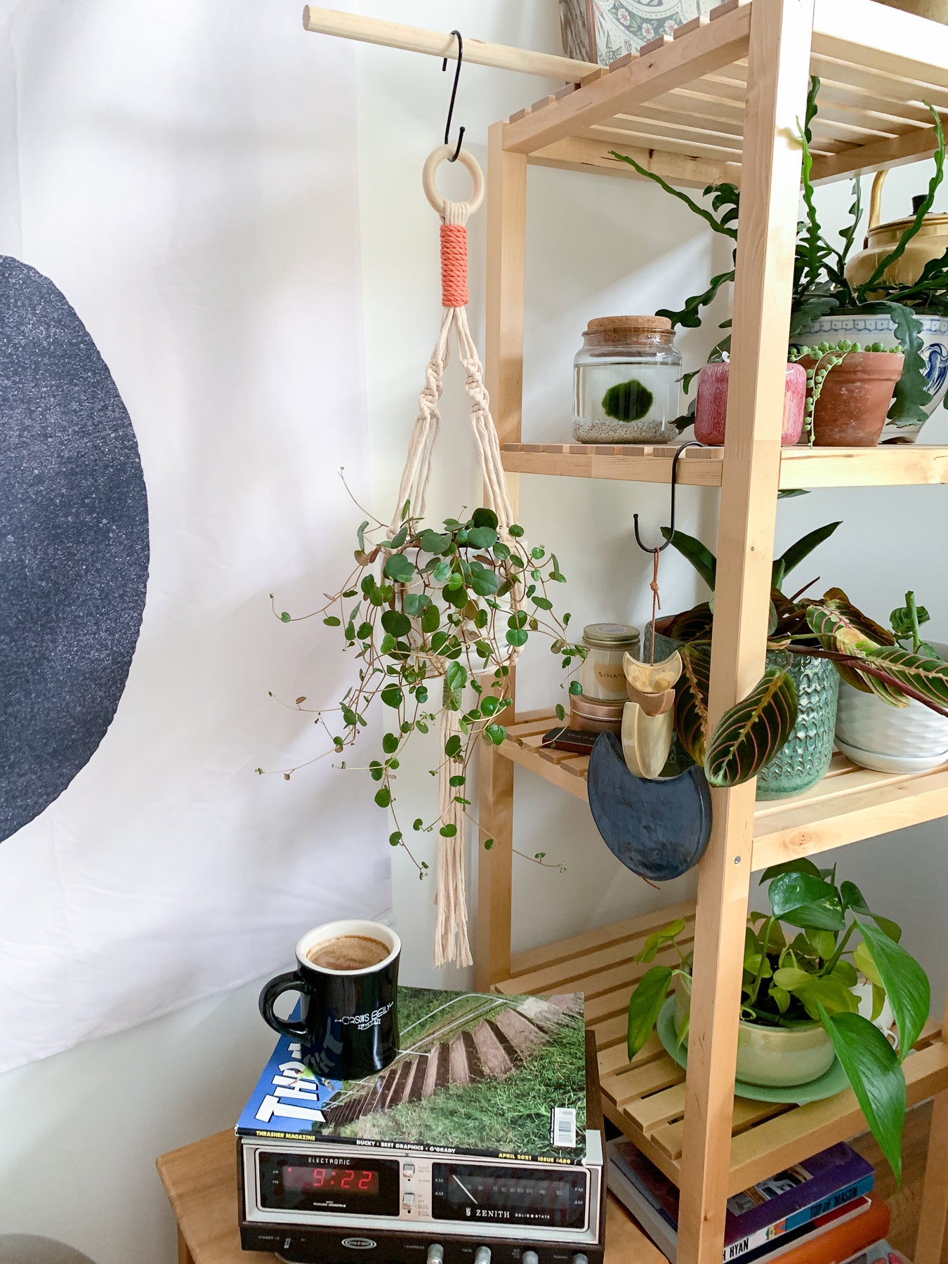 Sunset + Avocado Mini Plant Hanger