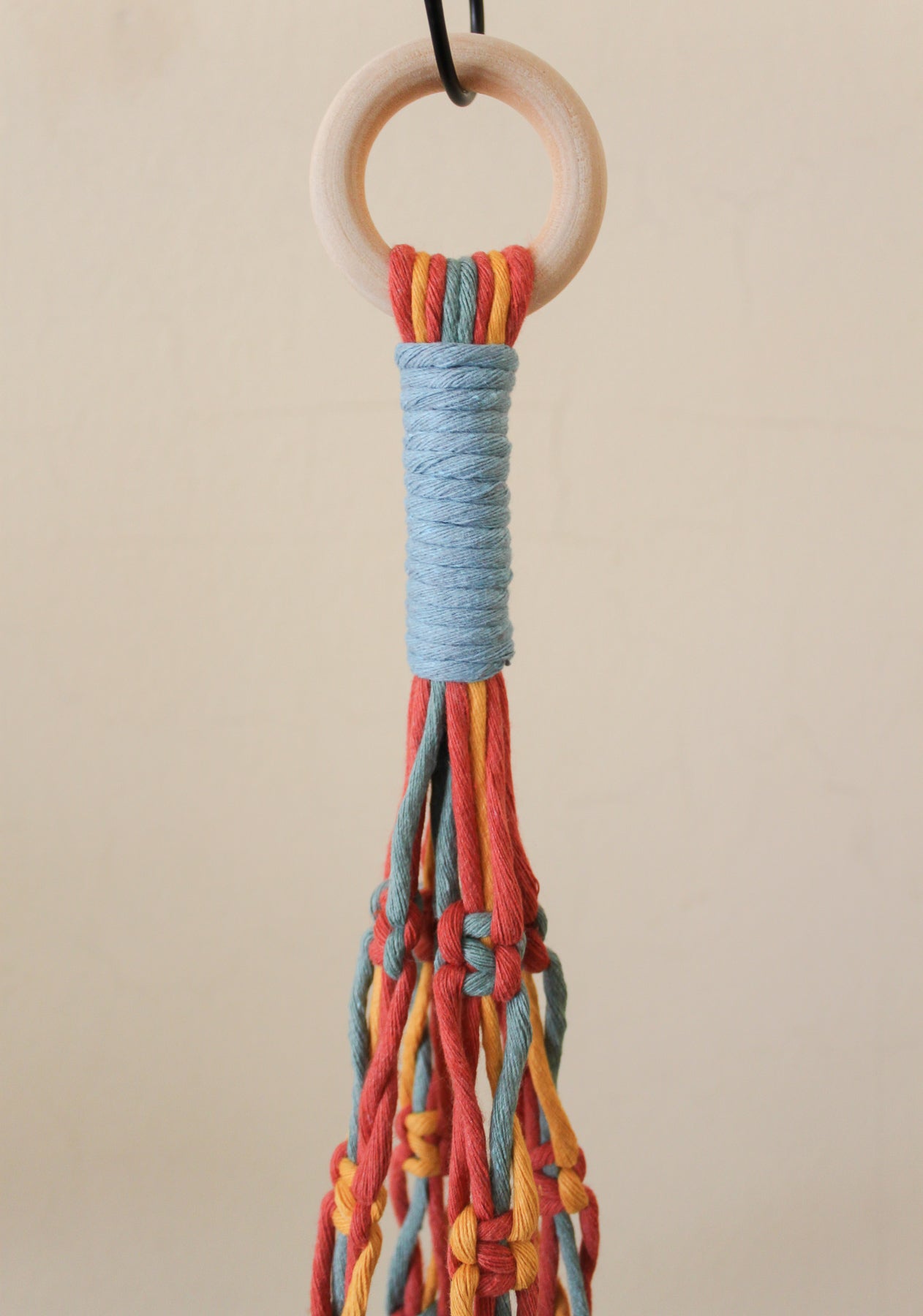 Squiggly Snakes Plant Hanger