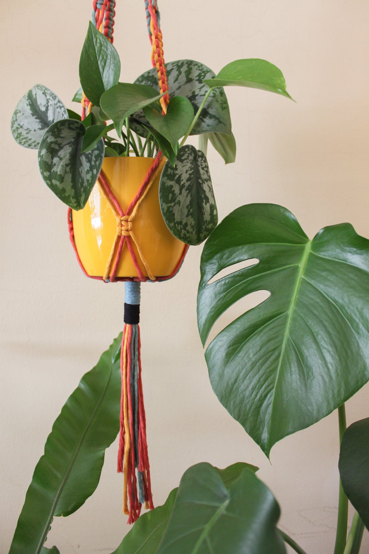 Squiggly Snakes Plant Hanger