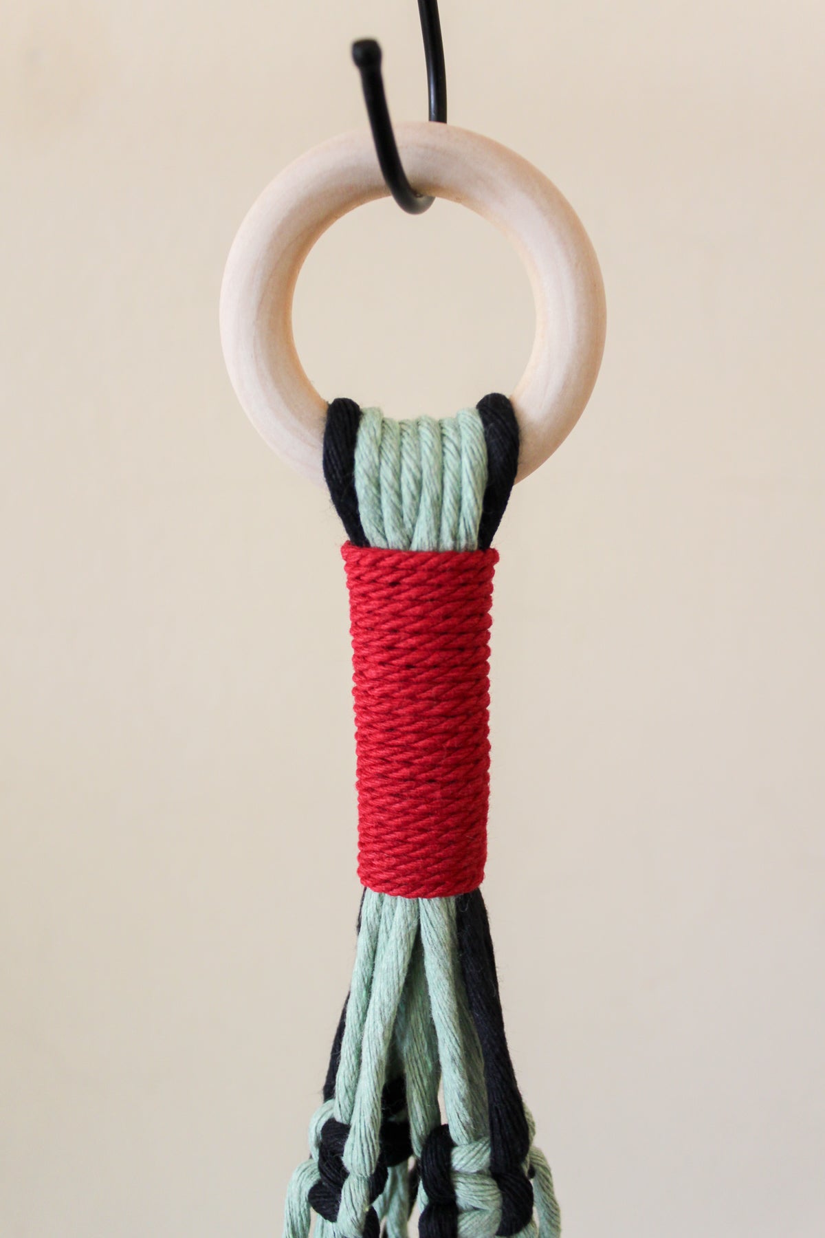 Cactus + Red Plant Hanger