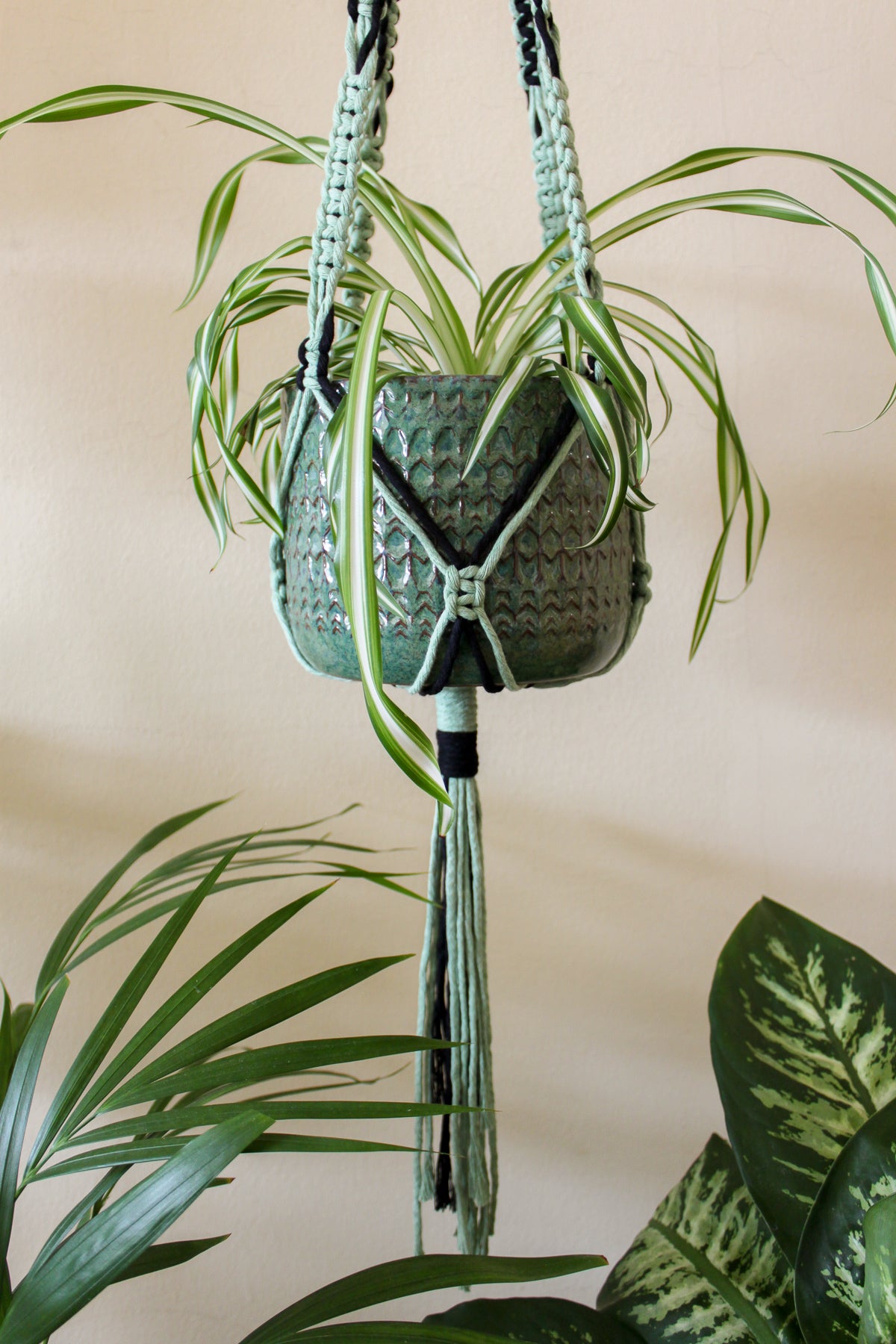 Cactus + Red Plant Hanger