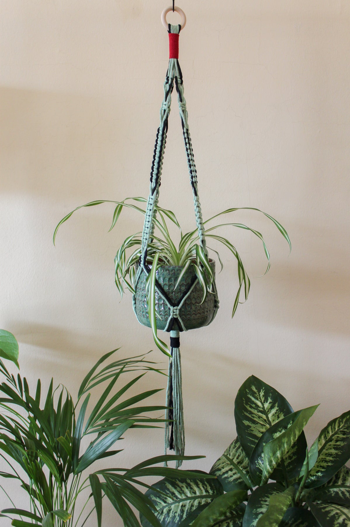 Cactus + Red Plant Hanger