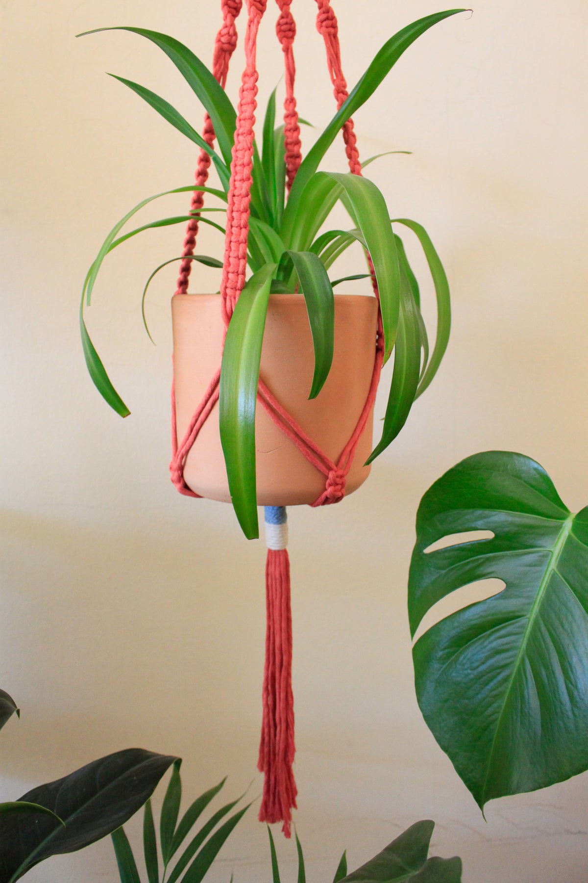 Terracotta Plant Hanger