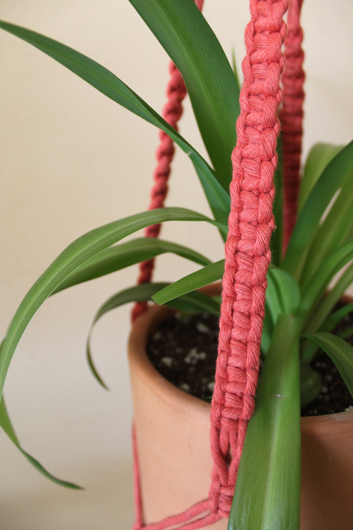 Terracotta Plant Hanger