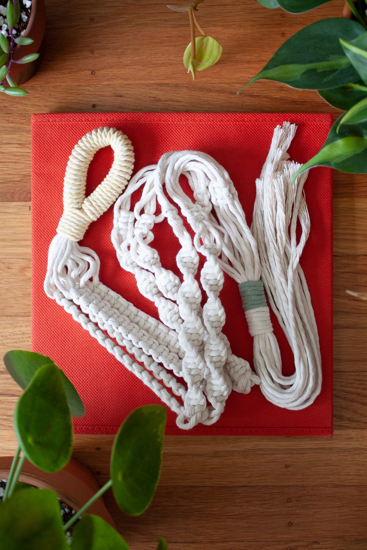 Sunflower + Natural Rope Knot Plant Hanger