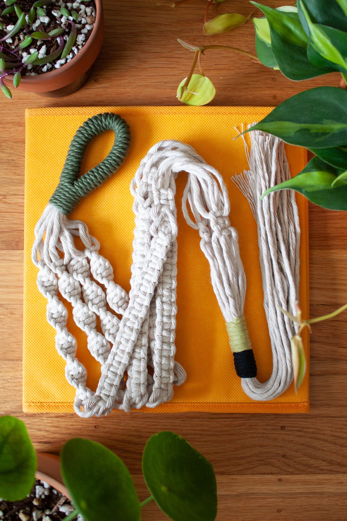 Olive Rope Knot Plant Hanger