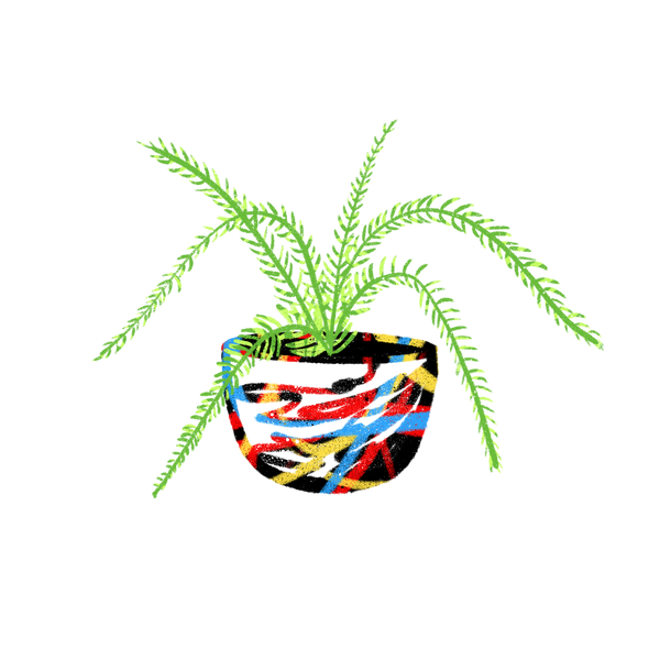 pfungcollects