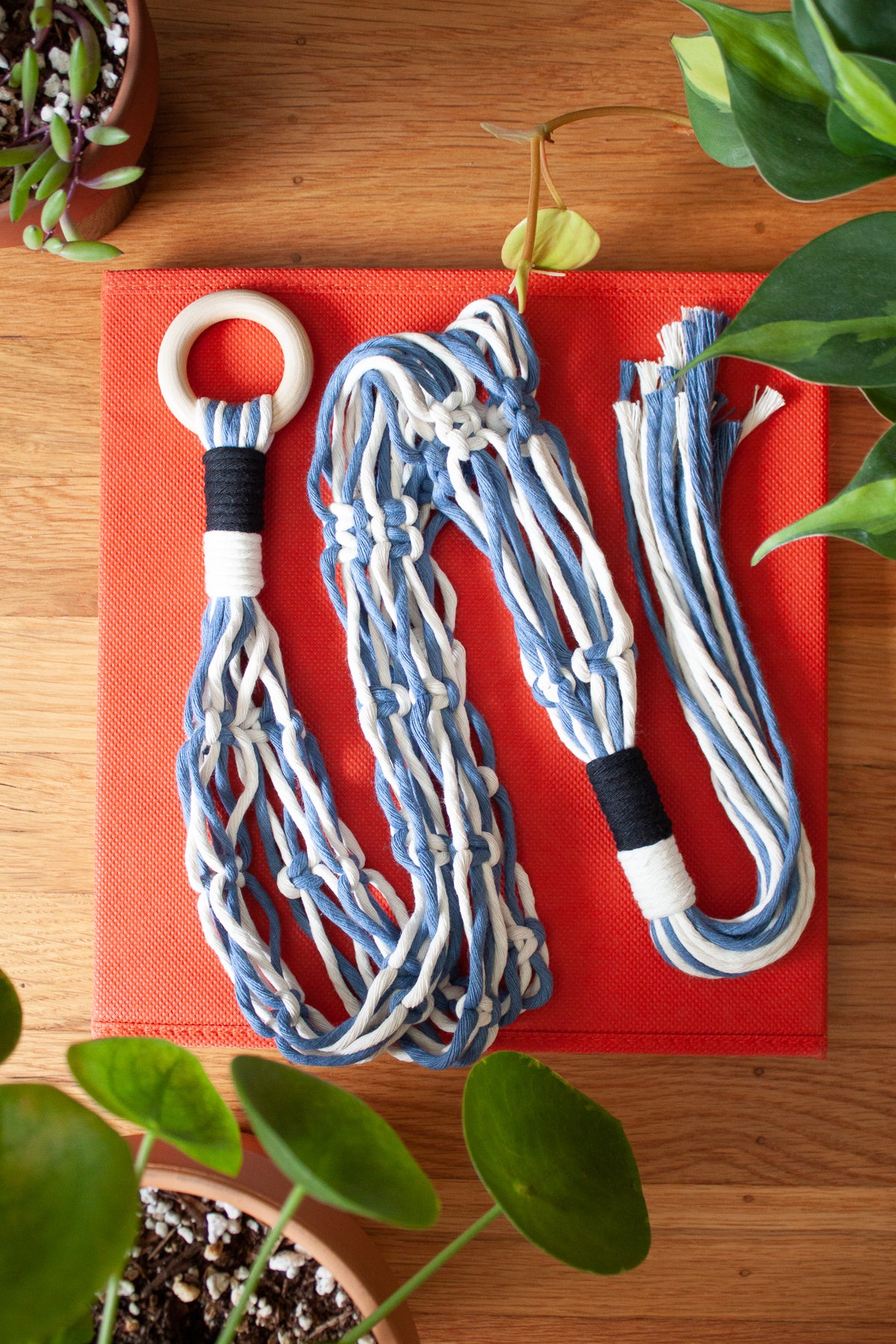 Art Deco Plant Hanger