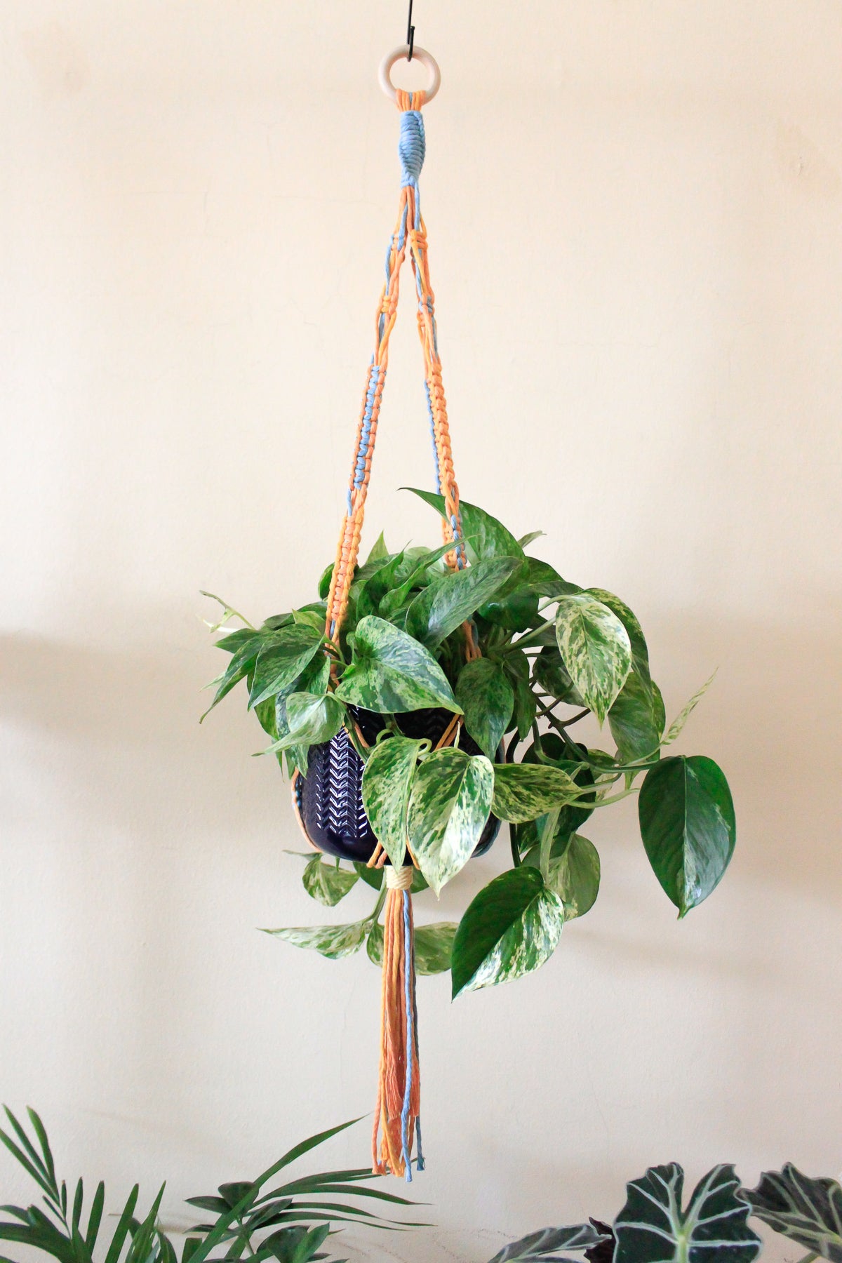 Orange Twist Plant Hanger