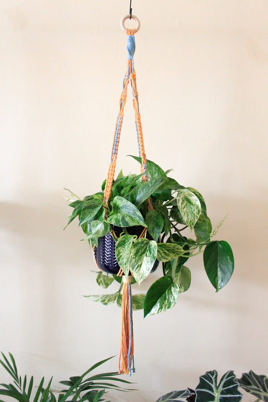 Orange Twist Plant Hanger