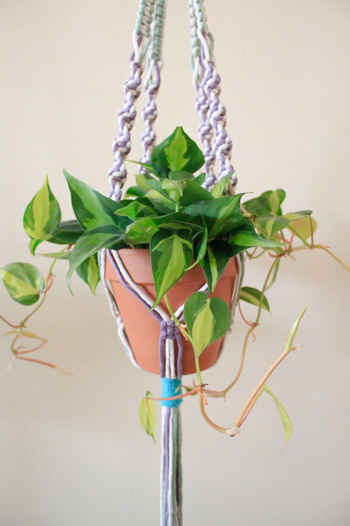 90s Windbreaker Plant Hanger