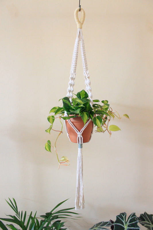 Sunflower + Natural Rope Knot Plant Hanger