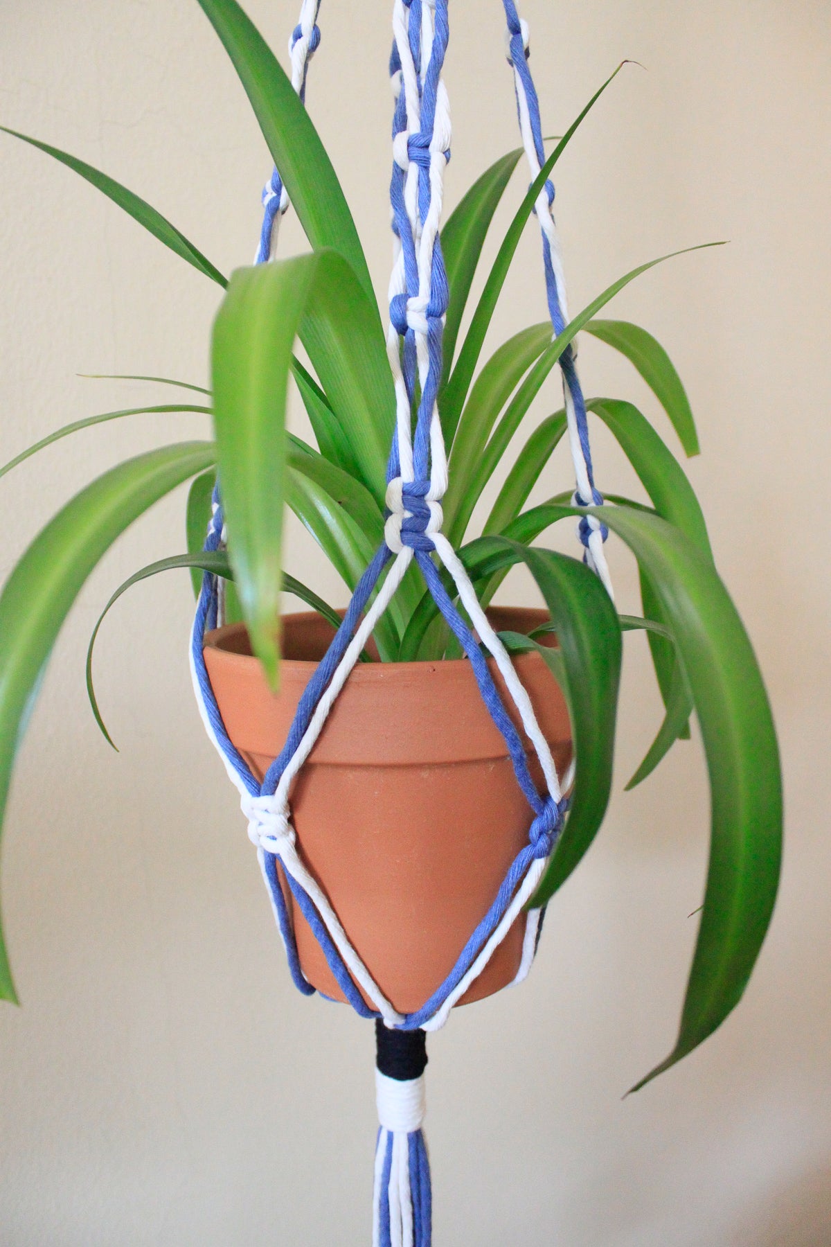Art Deco Plant Hanger