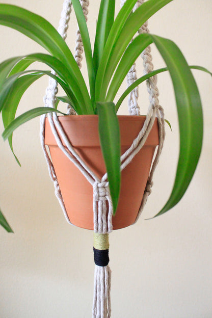 Olive Rope Knot Plant Hanger