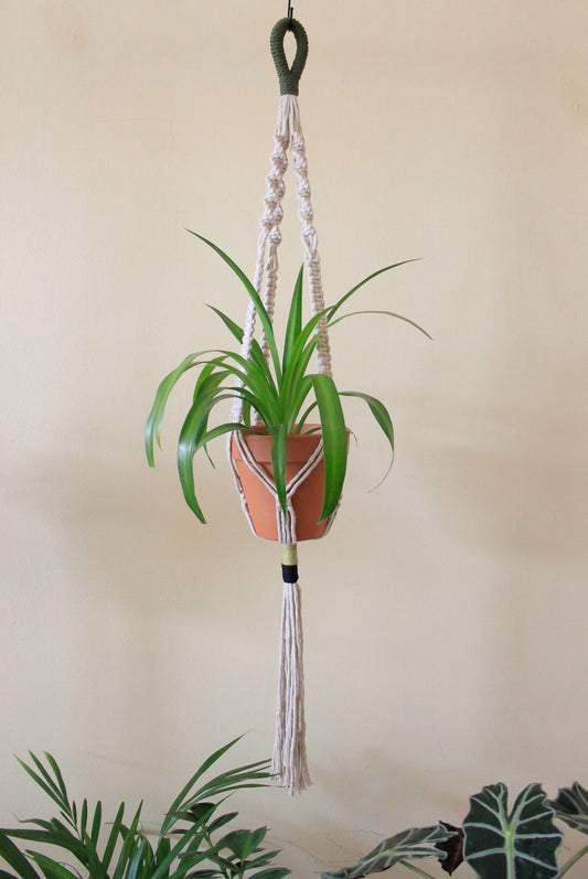Olive Rope Knot Plant Hanger