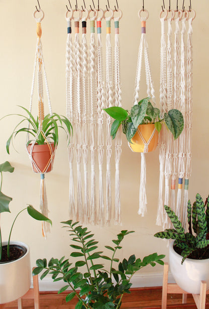 Color Block Top Knot Plant Hanger