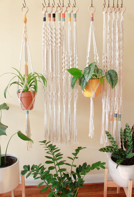 Color Block Top Knot Plant Hanger