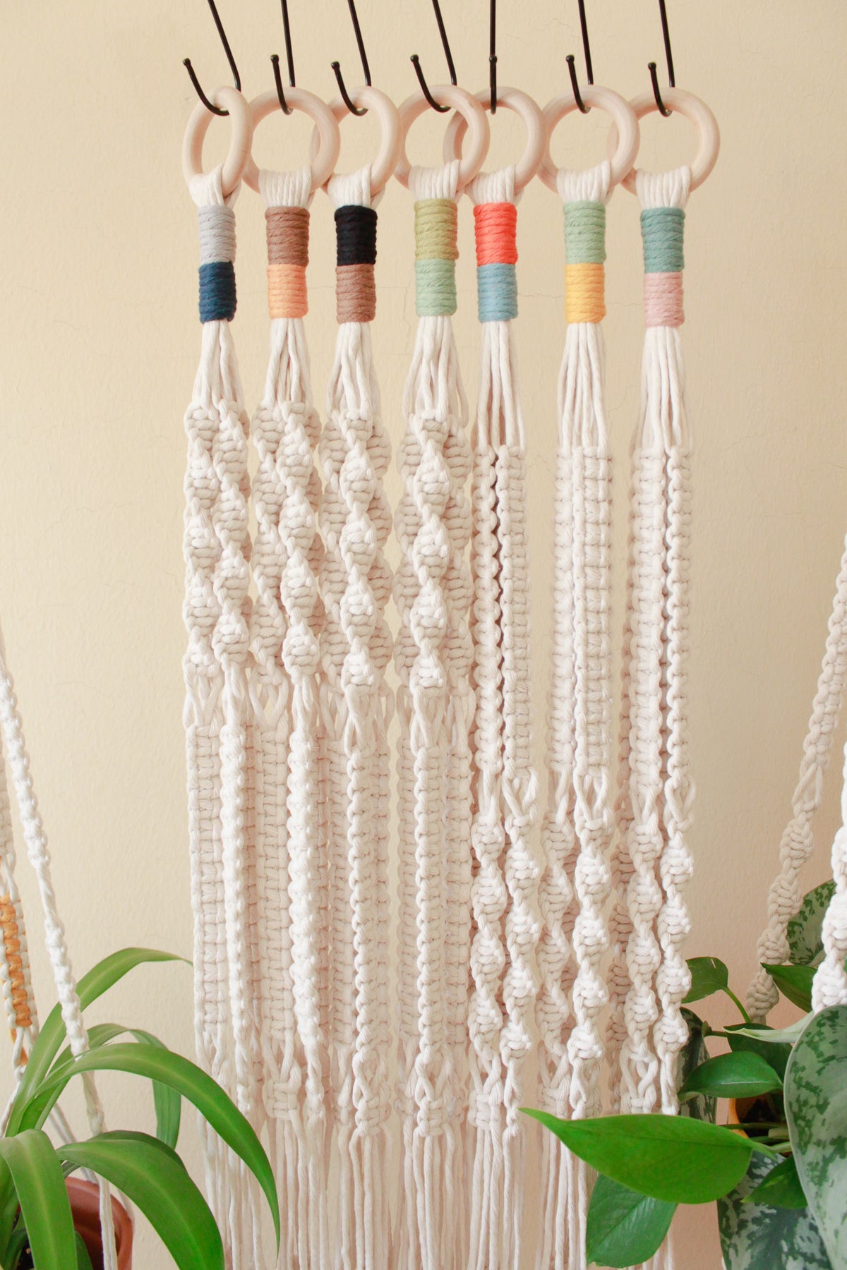 Color Block Top Knot Plant Hanger