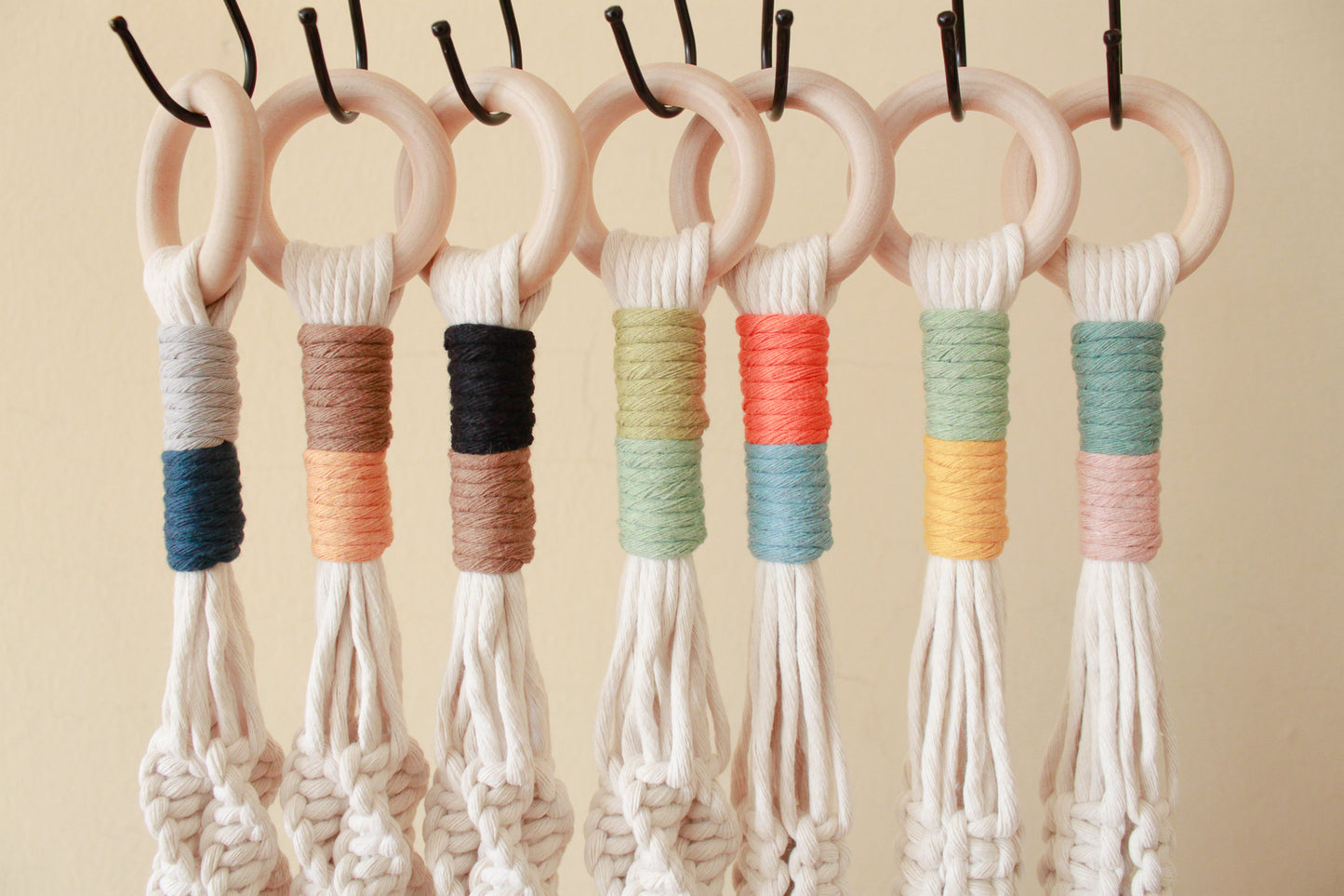 Color Block Top Knot Plant Hanger