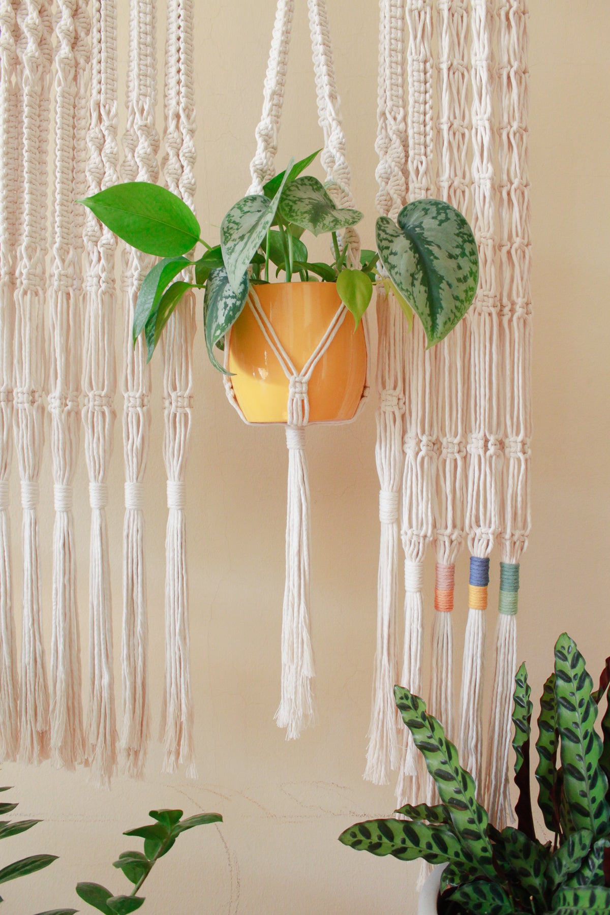 Color Block Top Knot Plant Hanger