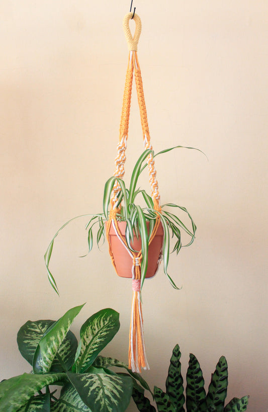 Hello Yellow Plant Hanger