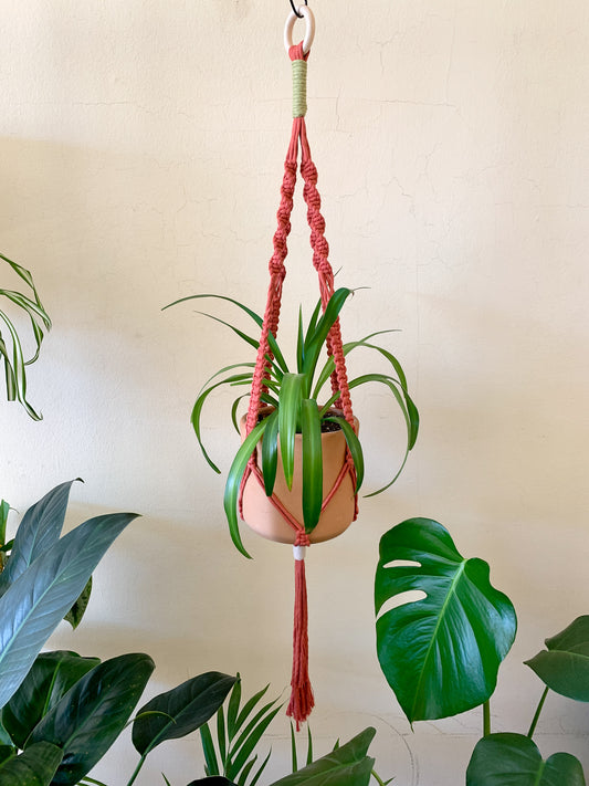 Terracotta Plant Hanger