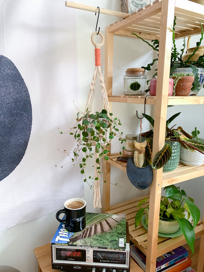 Sunset + Avocado Mini Plant Hanger