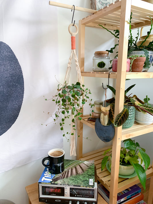Sunset + Avocado Mini Plant Hanger