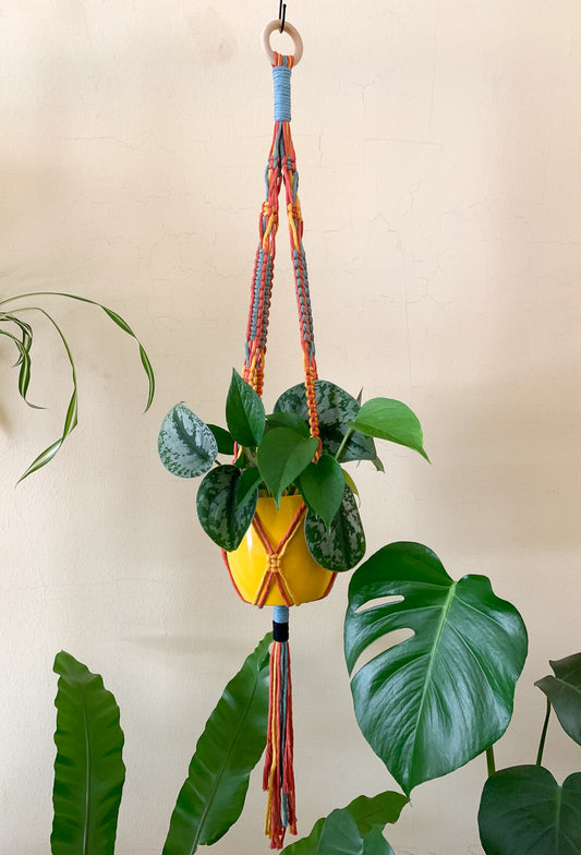Squiggly Snakes Plant Hanger