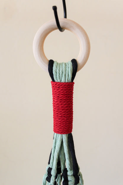 Cactus + Red Plant Hanger