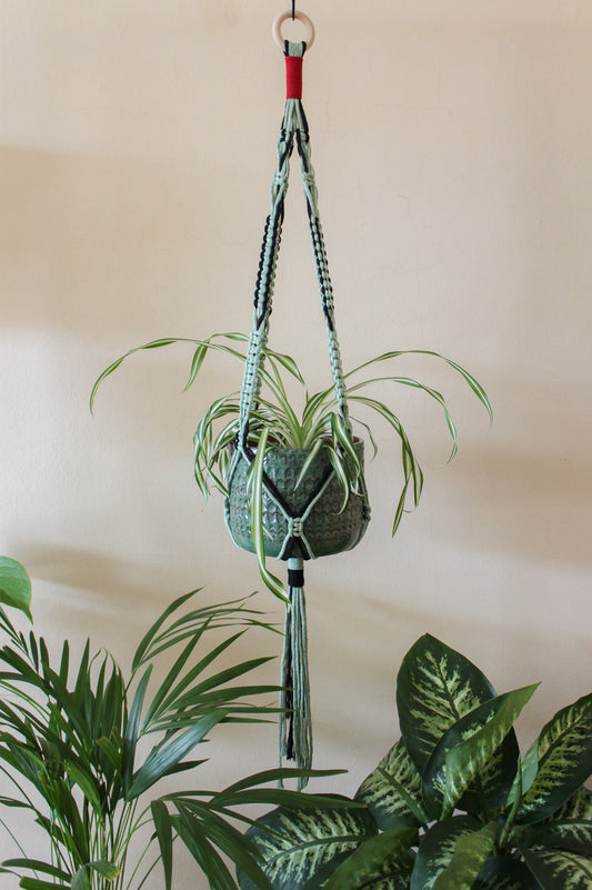 Cactus + Red Plant Hanger