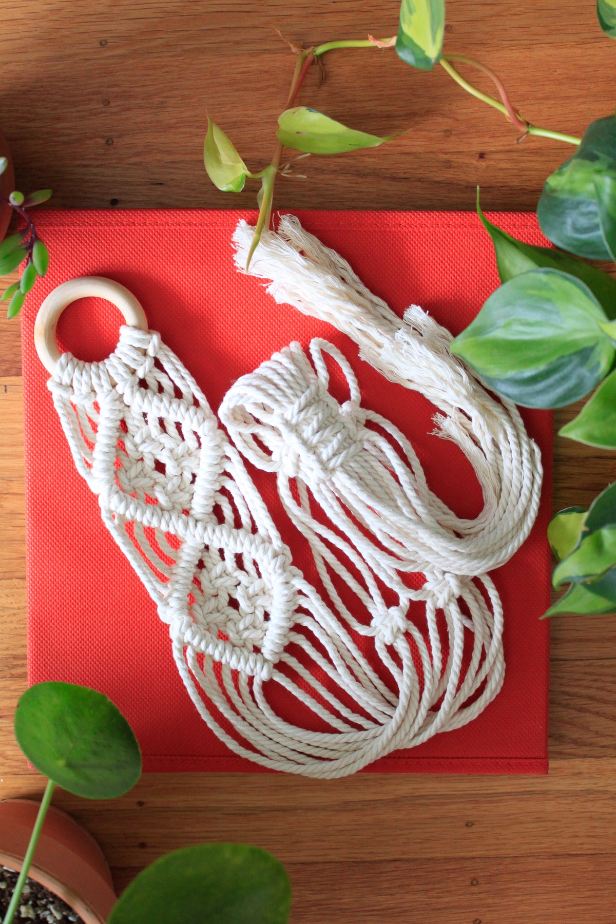 V-Pattern Plant Hanger