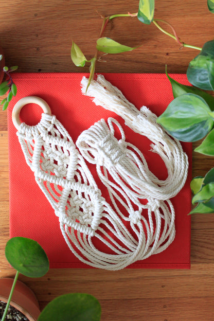V-Pattern Plant Hanger