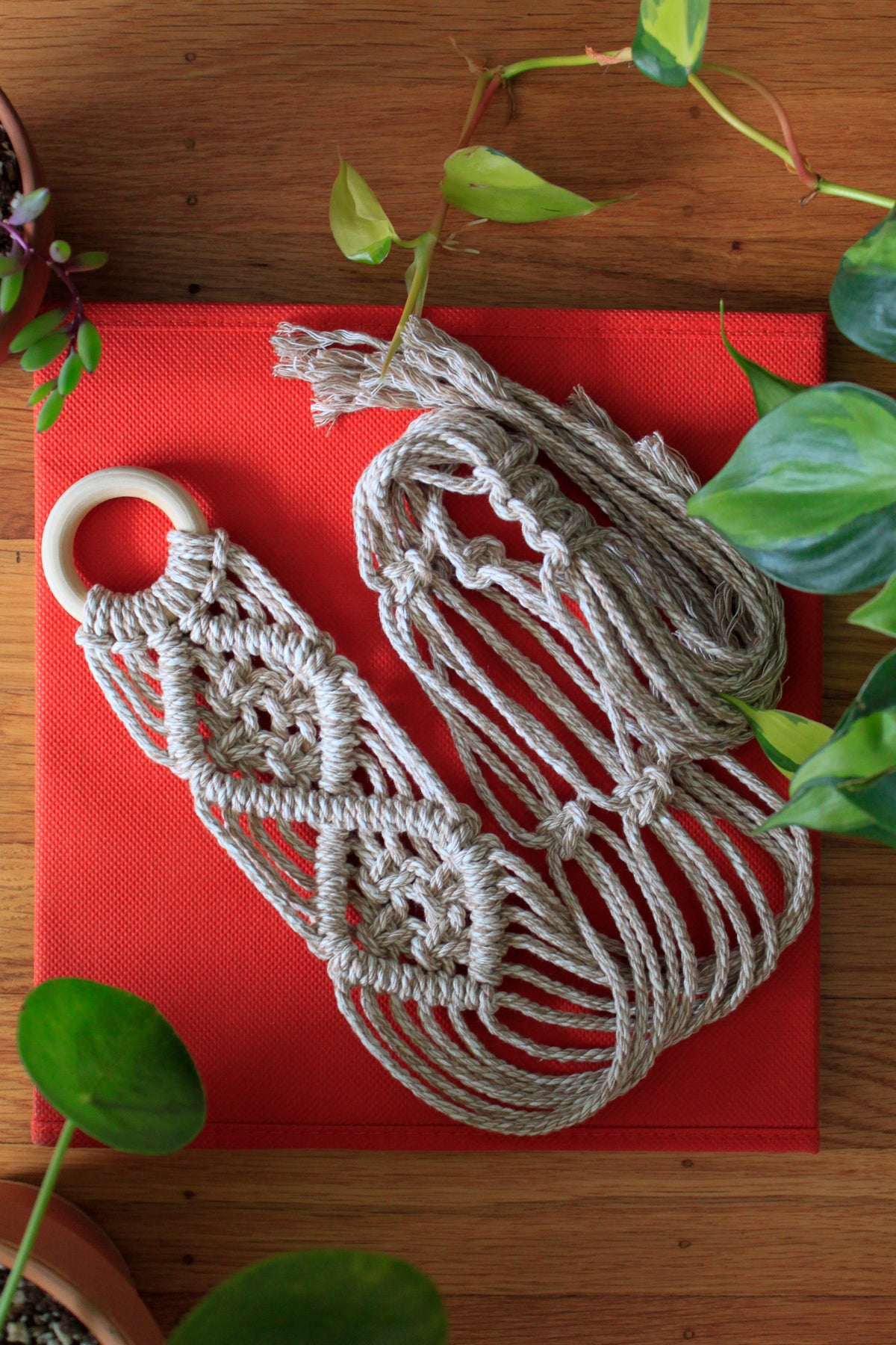 V-Pattern Plant Hanger
