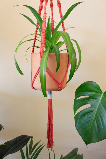 Terracotta Plant Hanger