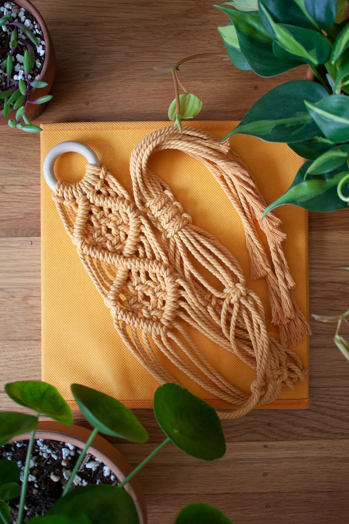 V-Pattern Plant Hanger