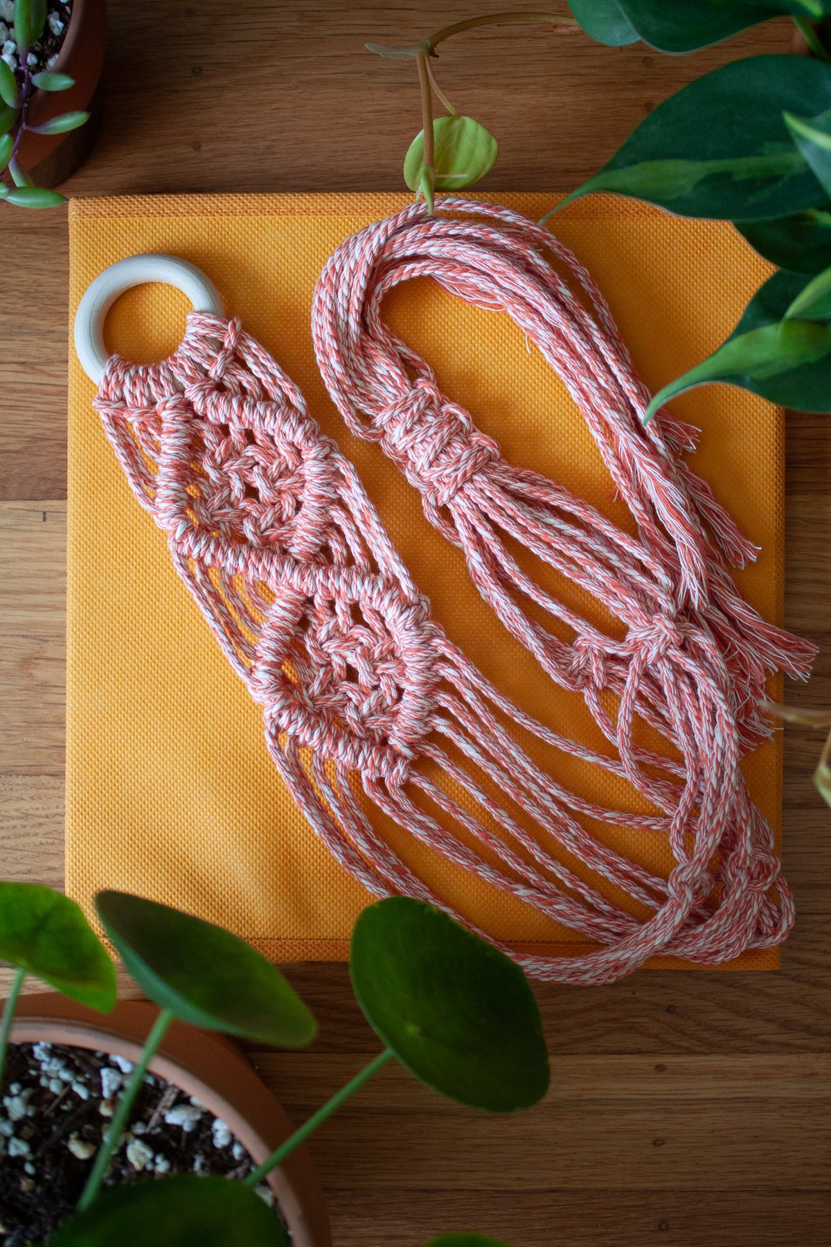 V-Pattern Plant Hanger