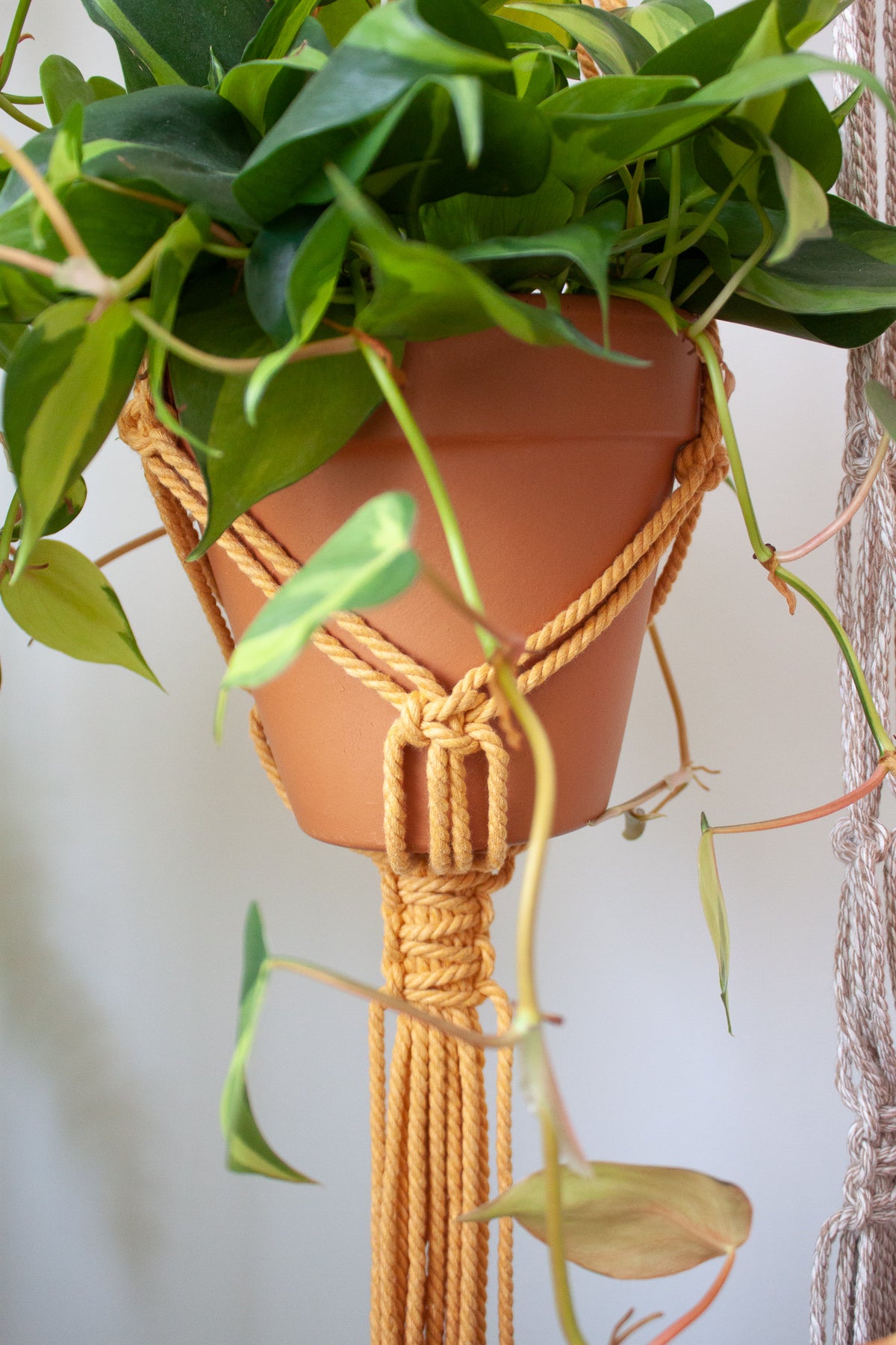 V-Pattern Plant Hanger