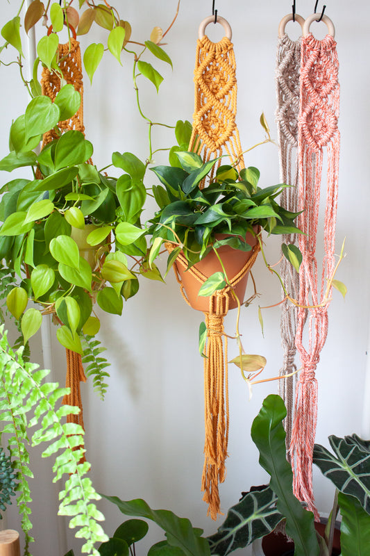 V-Pattern Plant Hanger