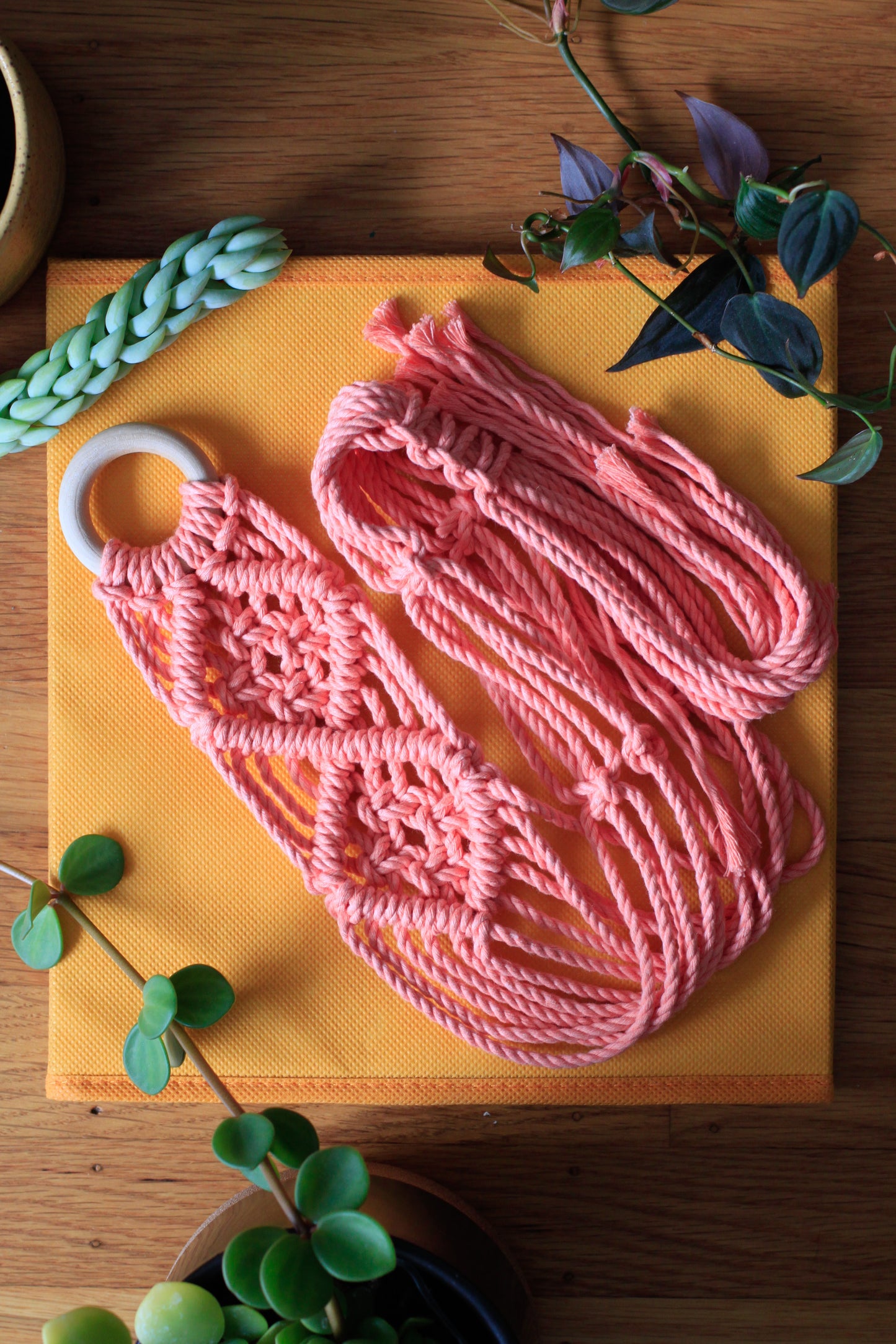 V-Pattern Plant Hanger