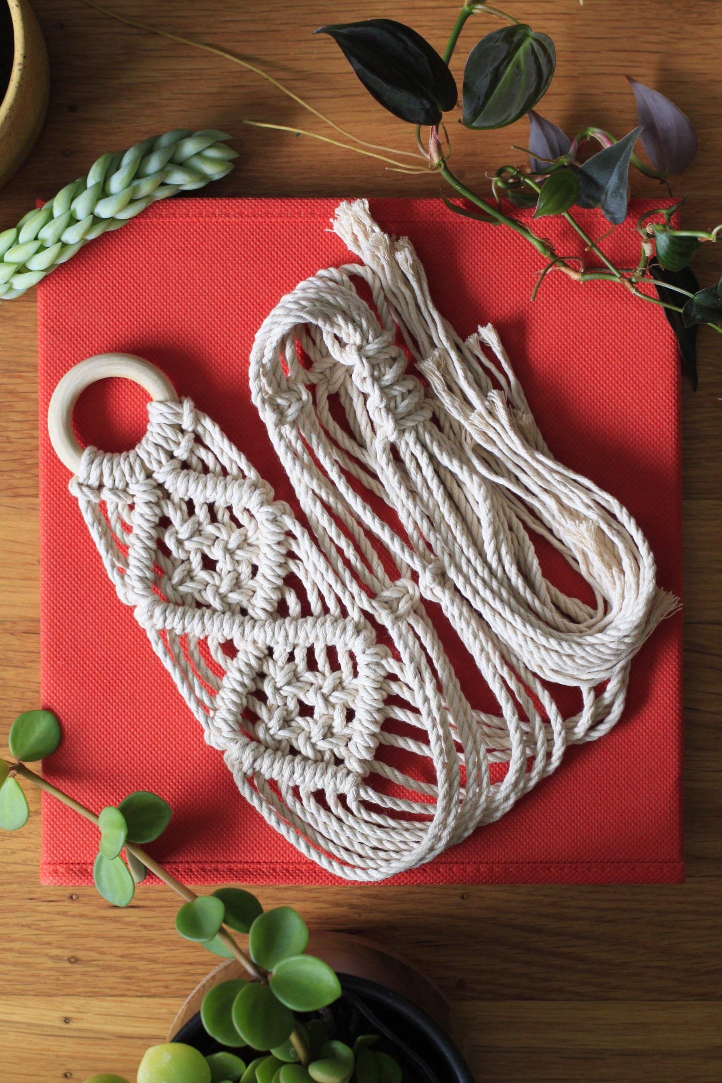 V-Pattern Plant Hanger