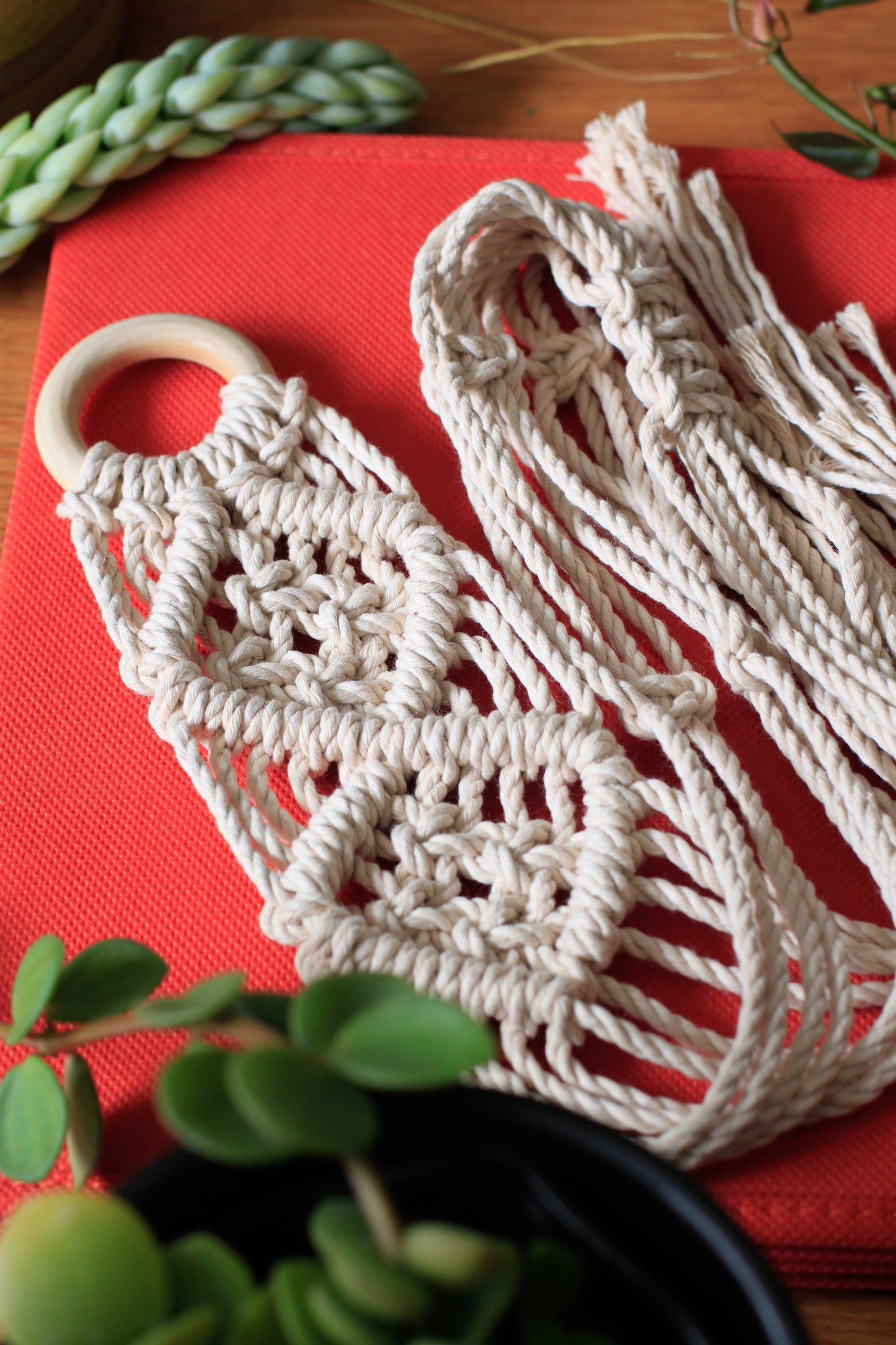 V-Pattern Plant Hanger